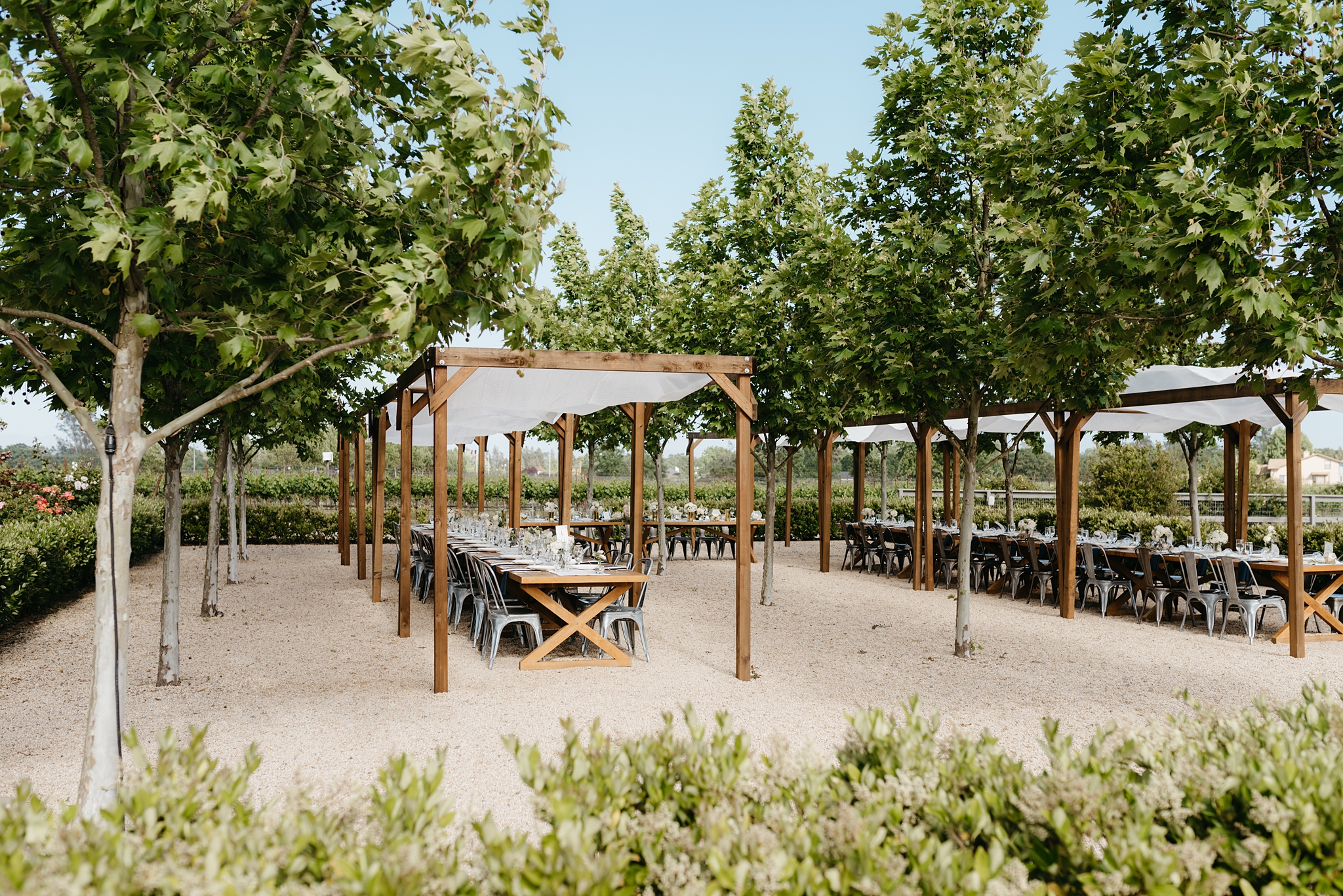 outdoor dinning grove at DeLoach Vineyards in Sonoma County